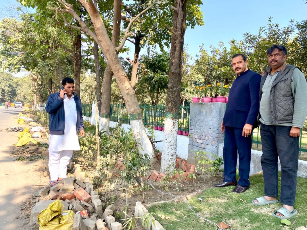 ब्लांक डी टू सेक्टर 10 पार्क हॉस्पिटल वाली रोड का कराया जा रहा है जीर्णोद्धार व सौंदर्यीकरण